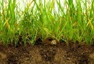 Burniesub-soil-drainage-6.jpg; ?>